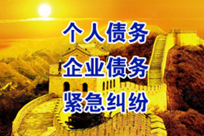 无赔偿能力诉讼困境应对策略